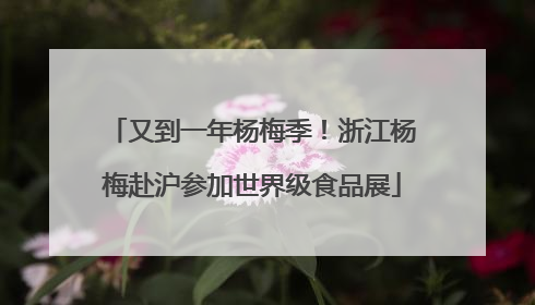 又到一年杨梅季！浙江杨梅赴沪参加世界级食品展