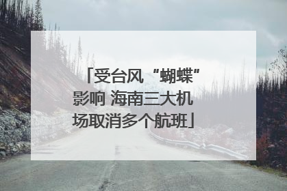 受台风“蝴蝶”影响 海南三大机场取消多个航班
