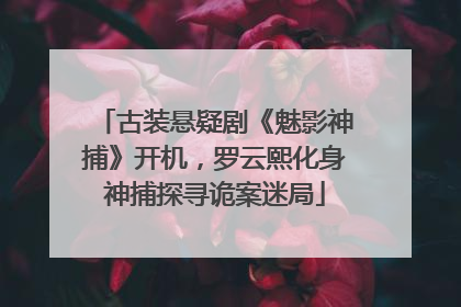 古装悬疑剧《魅影神捕》开机，罗云熙化身神捕探寻诡案迷局