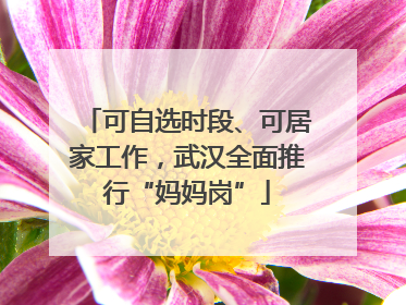 可自选时段、可居家工作，武汉全面推行“妈妈岗”