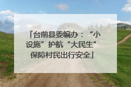 台前县委编办：“小设施”护航“大民生” 保障村民出行安全
