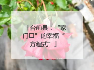 台前县：“家门口”的幸福“方程式”