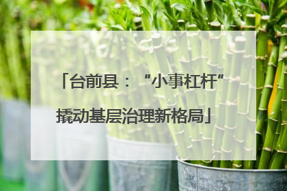 台前县：“小事杠杆”撬动基层治理新格局