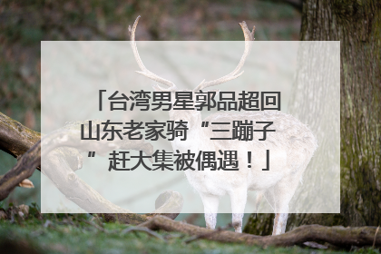 台湾男星郭品超回山东老家骑“三蹦子”赶大集被偶遇！
