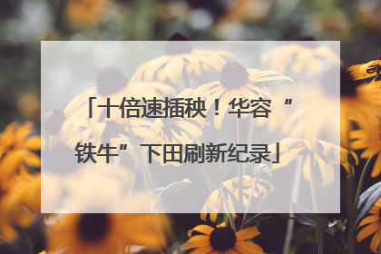 十倍速插秧！华容“铁牛”下田刷新纪录
