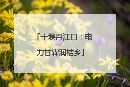 十堰丹江口：电力甘霖润桔乡