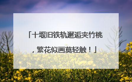 十堰旧铁轨邂逅夹竹桃，繁花似画莫轻触！