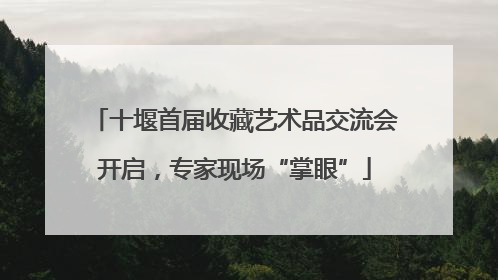 十堰首届收藏艺术品交流会开启，专家现场“掌眼”
