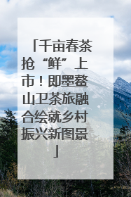 千亩春茶抢“鲜”上市！即墨鳌山卫茶旅融合绘就乡村振兴新图景
