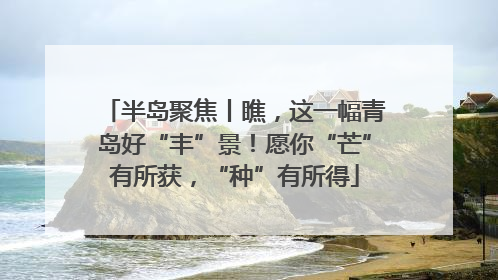 半岛聚焦丨瞧，这一幅青岛好“丰”景！愿你“芒”有所获，“种”有所得