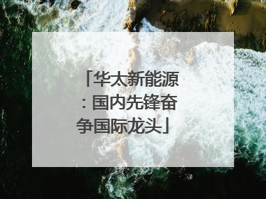 华太新能源：国内先锋奋争国际龙头