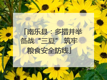 南乐县：多措并举备战“三夏” 筑牢粮食安全防线