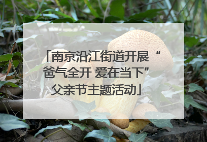 南京沿江街道开展“爸气全开 爱在当下”父亲节主题活动