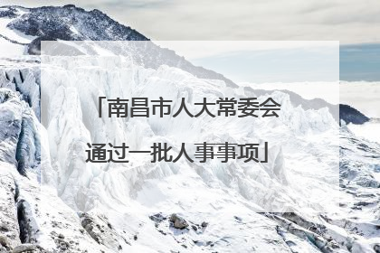 南昌市人大常委会通过一批人事事项