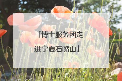 博士服务团走进宁夏石嘴山