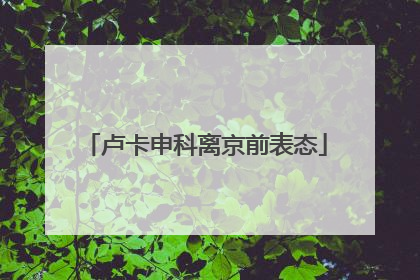 卢卡申科离京前表态