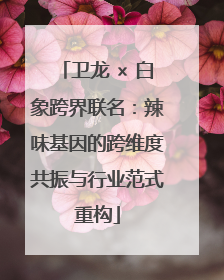 卫龙 × 白象跨界联名：辣味基因的跨维度共振与行业范式重构