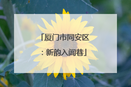 厦门市同安区：新韵入闾巷