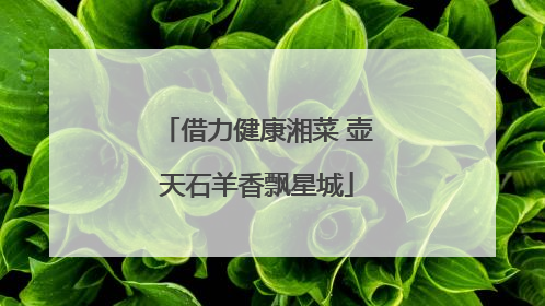 借力健康湘菜 壶天石羊香飘星城