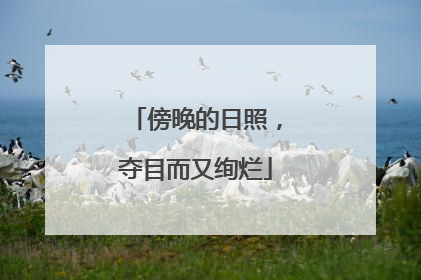 傍晚的日照，夺目而又绚烂
