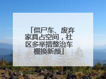 僵尸车、废弃家具占空间，社区多举措整治车棚换新颜