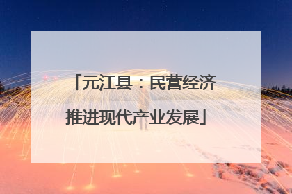 元江县：民营经济推进现代产业发展
