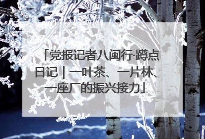 党报记者八闽行·蹲点日记｜一叶茶、一片林、一座厂的振兴接力
