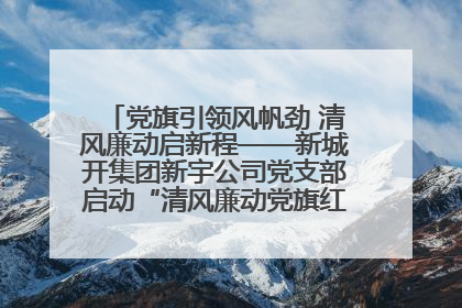 党旗引领风帆劲 清风廉动启新程——新城开集团新宇公司党支部启动“清风廉动党旗红”系列活动