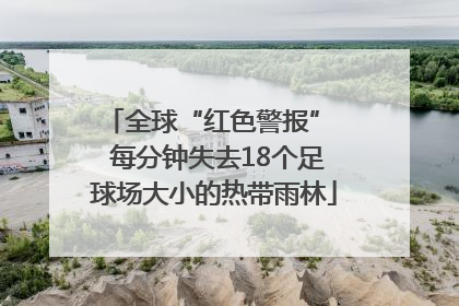 全球“红色警报”  每分钟失去18个足球场大小的热带雨林