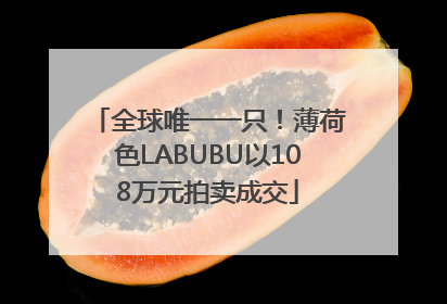 全球唯一一只！薄荷色LABUBU以108万元拍卖成交