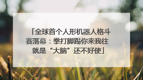 全球首个人形机器人格斗赛落幕：拳打脚踢你来我往 就是“大脑”还不好使