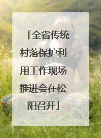 全省传统村落保护利用工作现场推进会在松阳召开