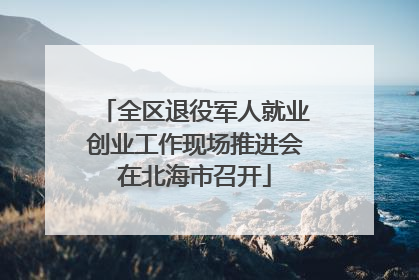 全区退役军人就业创业工作现场推进会在北海市召开