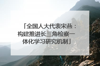 全国人大代表宋燕：构建推进长三角检察一体化学习研究机制