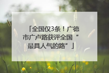 全国仅3条！广德市广卢路获评全国“最具人气的路”
