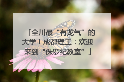 全川最“有龙气”的大学！成都理工：欢迎来到“侏罗纪教室”