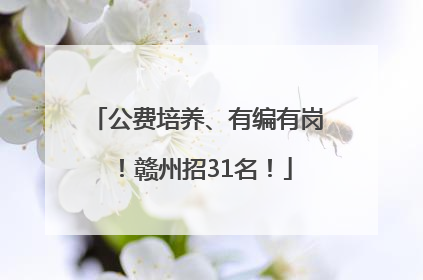 公费培养、有编有岗！赣州招31名！