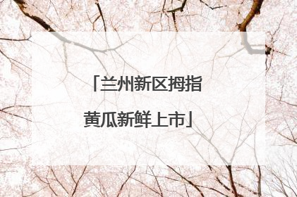 兰州新区拇指黄瓜新鲜上市