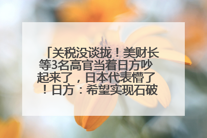 关税没谈拢！美财长等3名高官当着日方吵起来了，日本代表懵了！日方：希望实现石破茂与特朗普的会晤