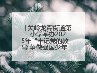 关岭龙潭街道第一小学举办2025年“牢记党的教导 争做强国少年”“六一”文艺汇演活动