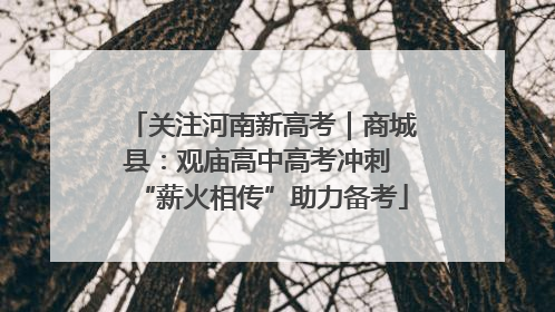 关注河南新高考｜商城县：观庙高中高考冲刺 “薪火相传”助力备考