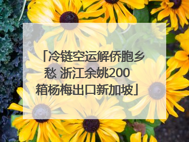 冷链空运解侨胞乡愁 浙江余姚200箱杨梅出口新加坡