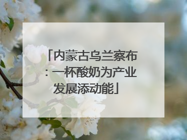 内蒙古乌兰察布：一杯酸奶为产业发展添动能