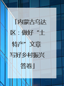 内蒙古乌达区：做好“土特产”文章 写好乡村振兴答卷