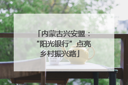 内蒙古兴安盟：“阳光银行”点亮乡村振兴路