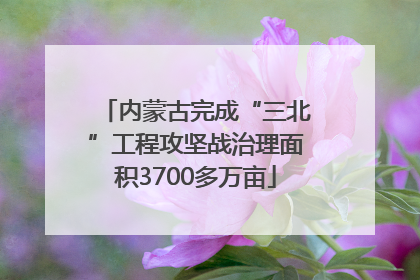 内蒙古完成“三北”工程攻坚战治理面积3700多万亩