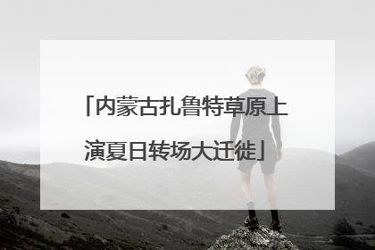 内蒙古扎鲁特草原上演夏日转场大迁徙