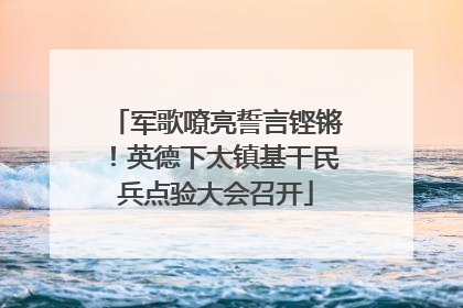 军歌嘹亮誓言铿锵！英德下太镇基干民兵点验大会召开