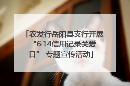 农发行岳阳县支行开展“6·14信用记录关爱日” 专题宣传活动