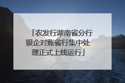 农发行湖南省分行银企对账省行集中处理正式上线运行